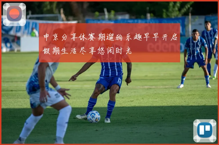 申京分享休赛期遛狗乐趣早早开启假期生活尽享悠闲时光